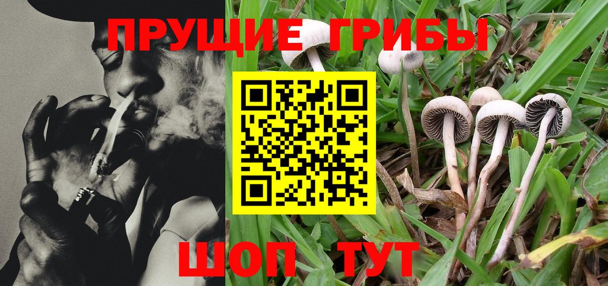 Галлюциногенные грибы GOLDEN TEACHER  Вход с VPN  закладки  Иваново 